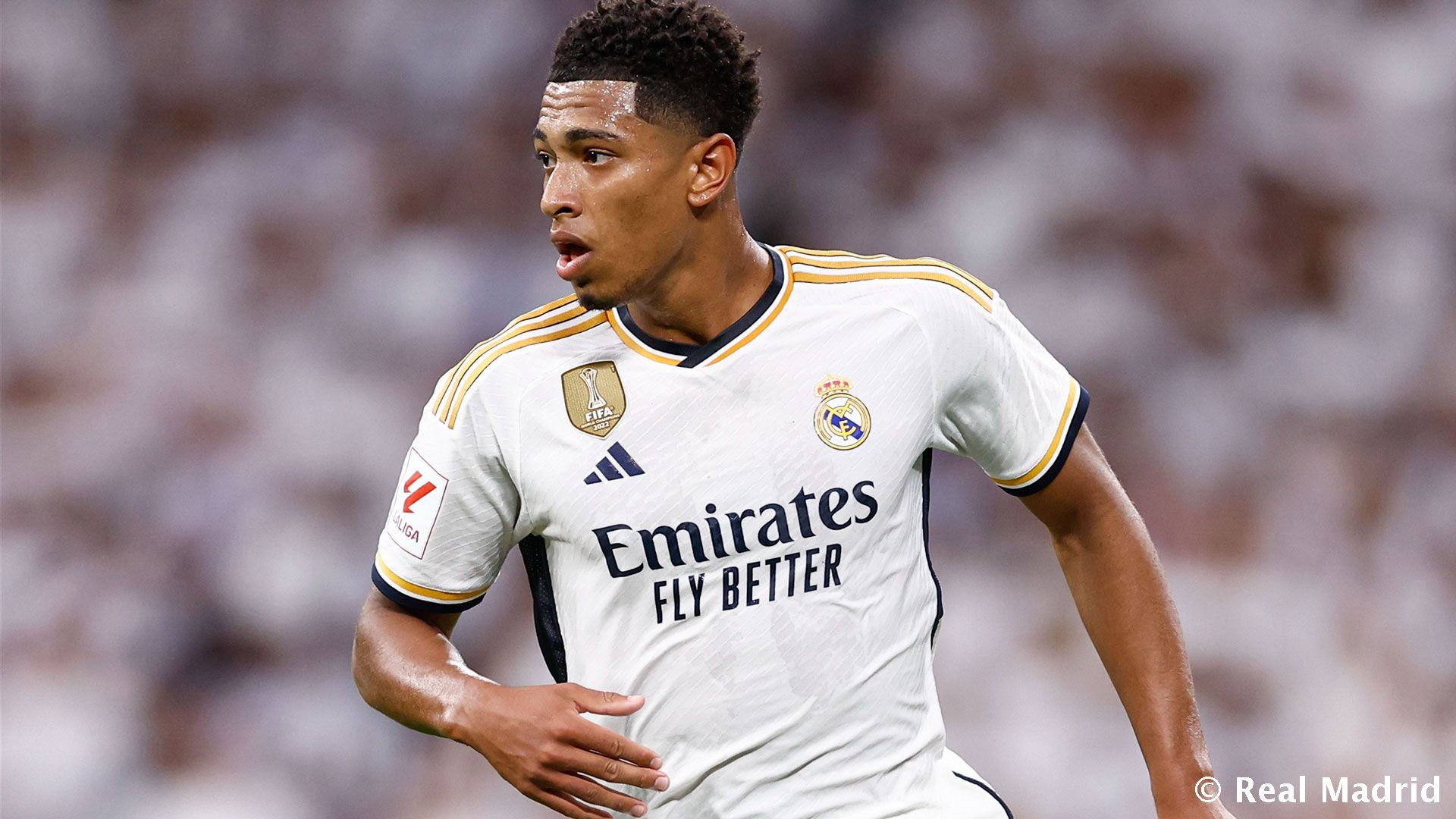 英超：曼城主场3-0完胜诺维奇（英超：曼城主场3比0大胜诺维奇）